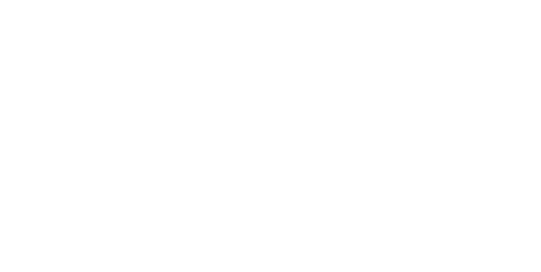 Protoflow logo